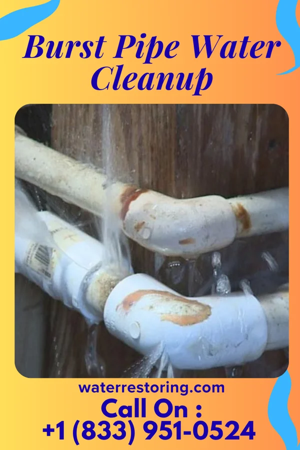 Burst Pipe Water Cleanup in Clarksville, MI