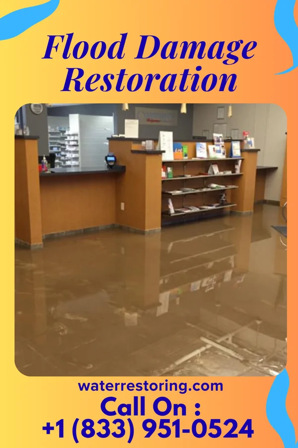 Flood Damage Restoration in Clarksville, MI