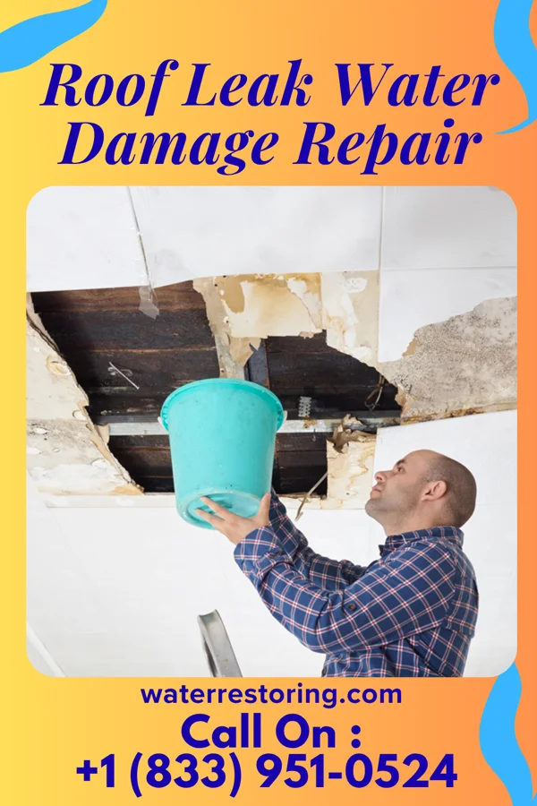 Roof Leak Water Damage Repair in Clarksville, MI