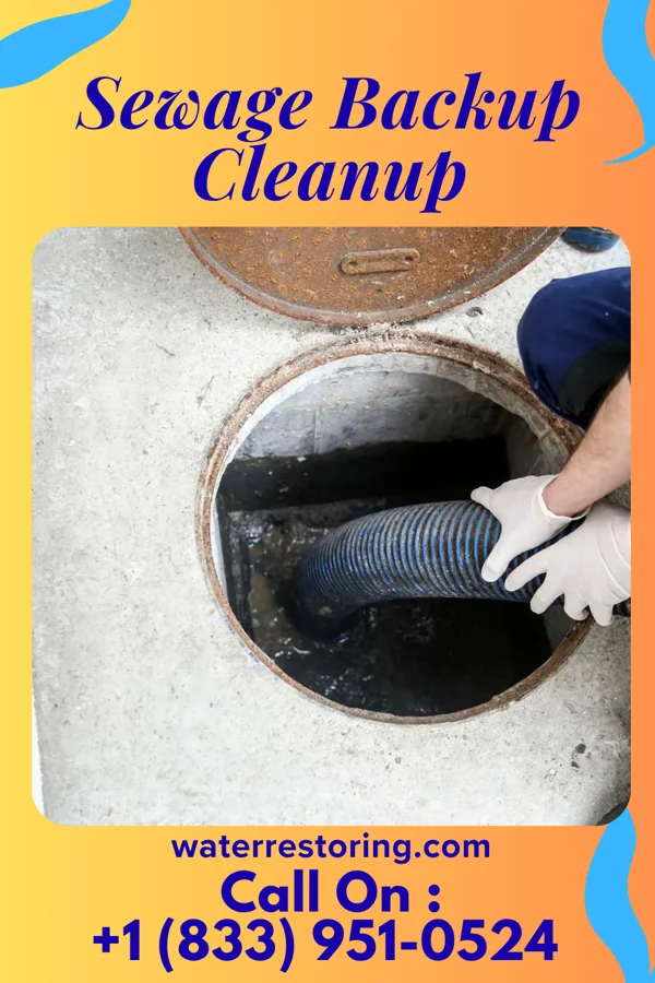 Sewage Backup Cleanup in Clarksville, MI