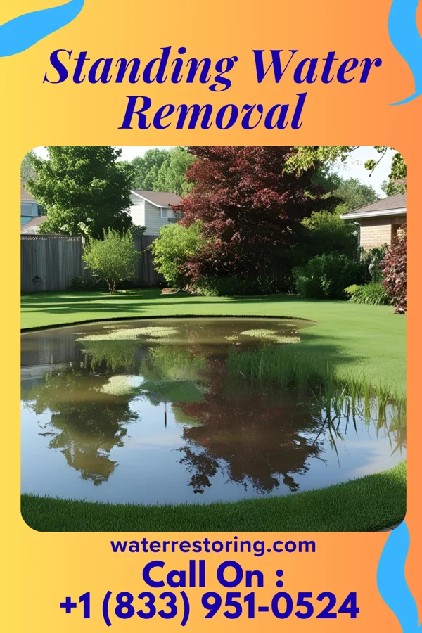 Standing Water Removal in Clarksville, MI